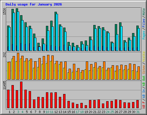 Daily usage for January 2026