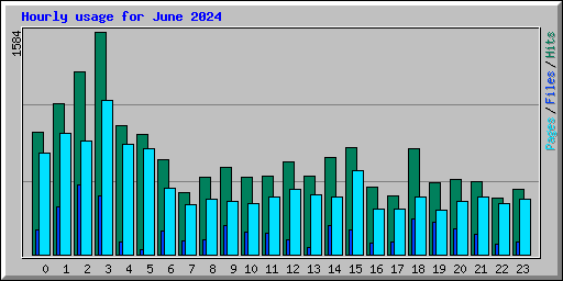 Hourly usage for June 2024