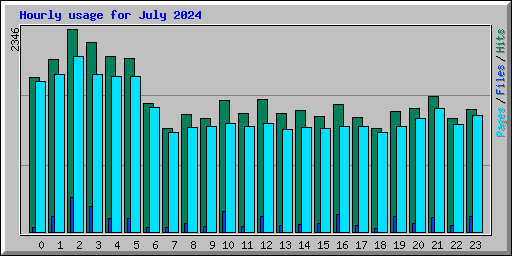 Hourly usage for July 2024