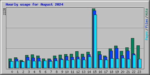 Hourly usage for August 2024