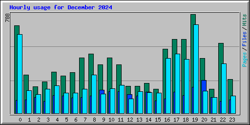 Hourly usage for December 2024