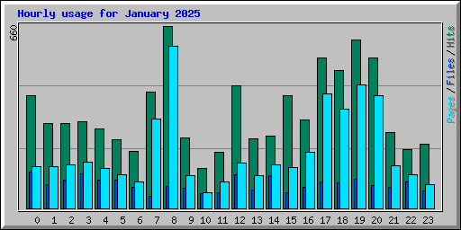 Hourly usage for January 2025