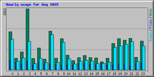 Hourly usage for May 2025