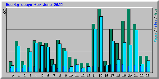 Hourly usage for June 2025