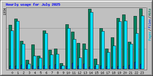 Hourly usage for July 2025