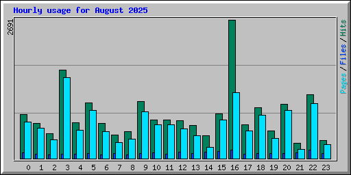 Hourly usage for August 2025