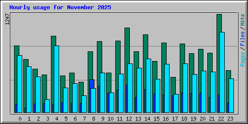 Hourly usage for November 2025