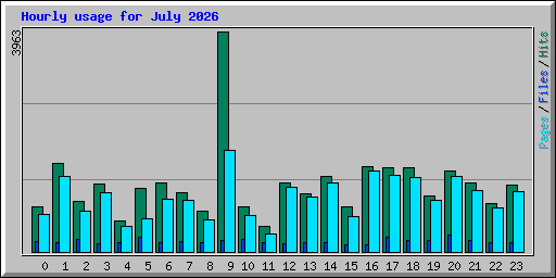 Hourly usage for July 2026