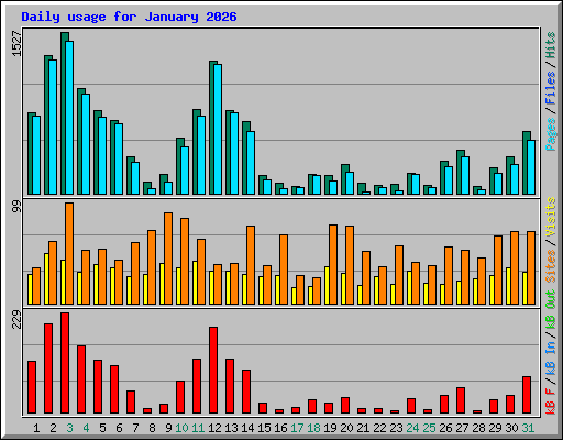 Daily usage for January 2026