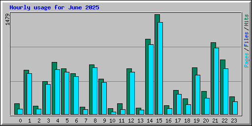 Hourly usage for June 2025
