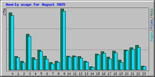 Hourly usage for August 2025