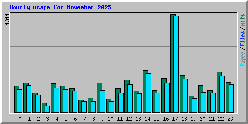 Hourly usage for November 2025