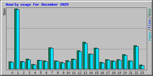 Hourly usage for December 2025