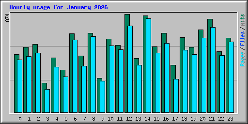 Hourly usage for January 2026