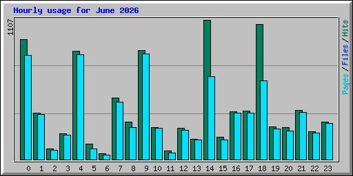 Hourly usage for June 2026