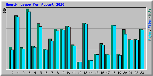 Hourly usage for August 2026